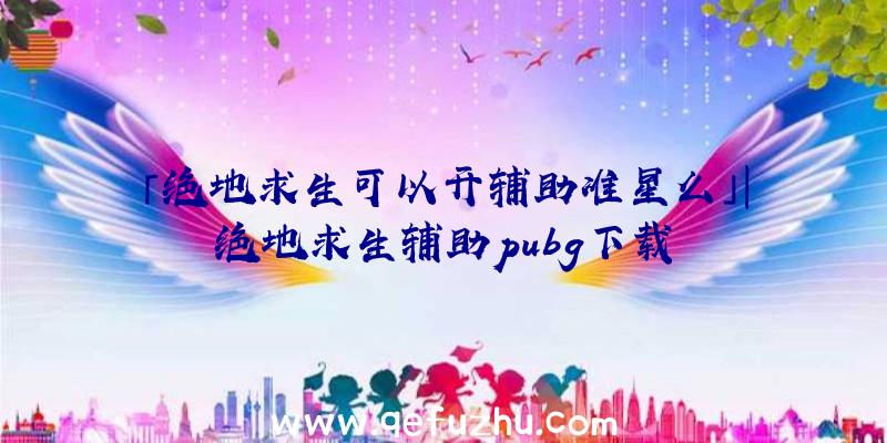 「绝地求生可以开辅助准星么」|绝地求生辅助pubg下载